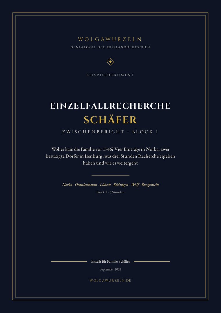 Titelseite des Beispiel Zwischenberichts einer Einzelfallrecherche